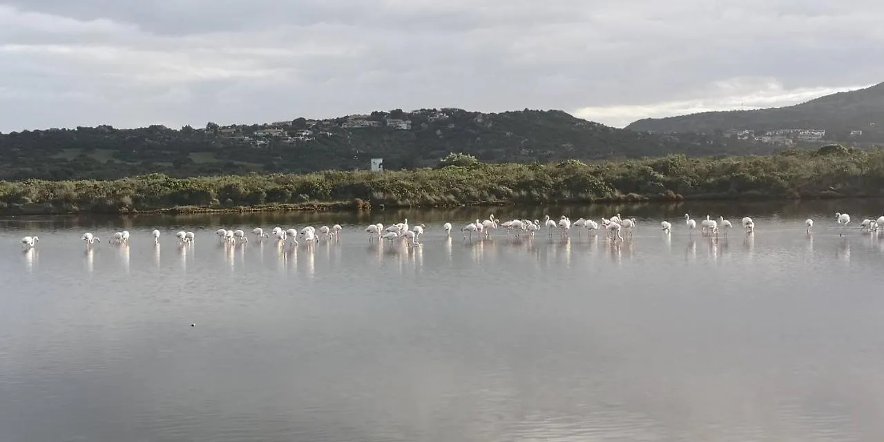 Appartamento Porto San Paolo Vista Tavolara Vaccileddi