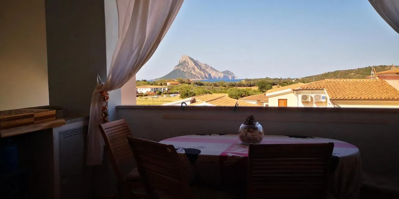 Vista Tavolara - Sardegna Holiday Apartment Vaccileddi Italien