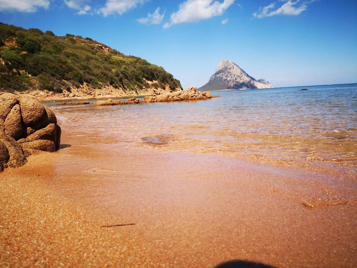 Vista Tavolara - Sardegna Holiday Apartment Vaccileddi Italien